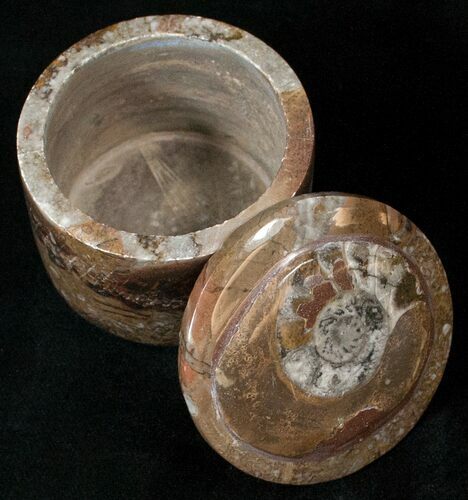 Small Fossil Goniatite Jar (Brown) - Stoneware #18014